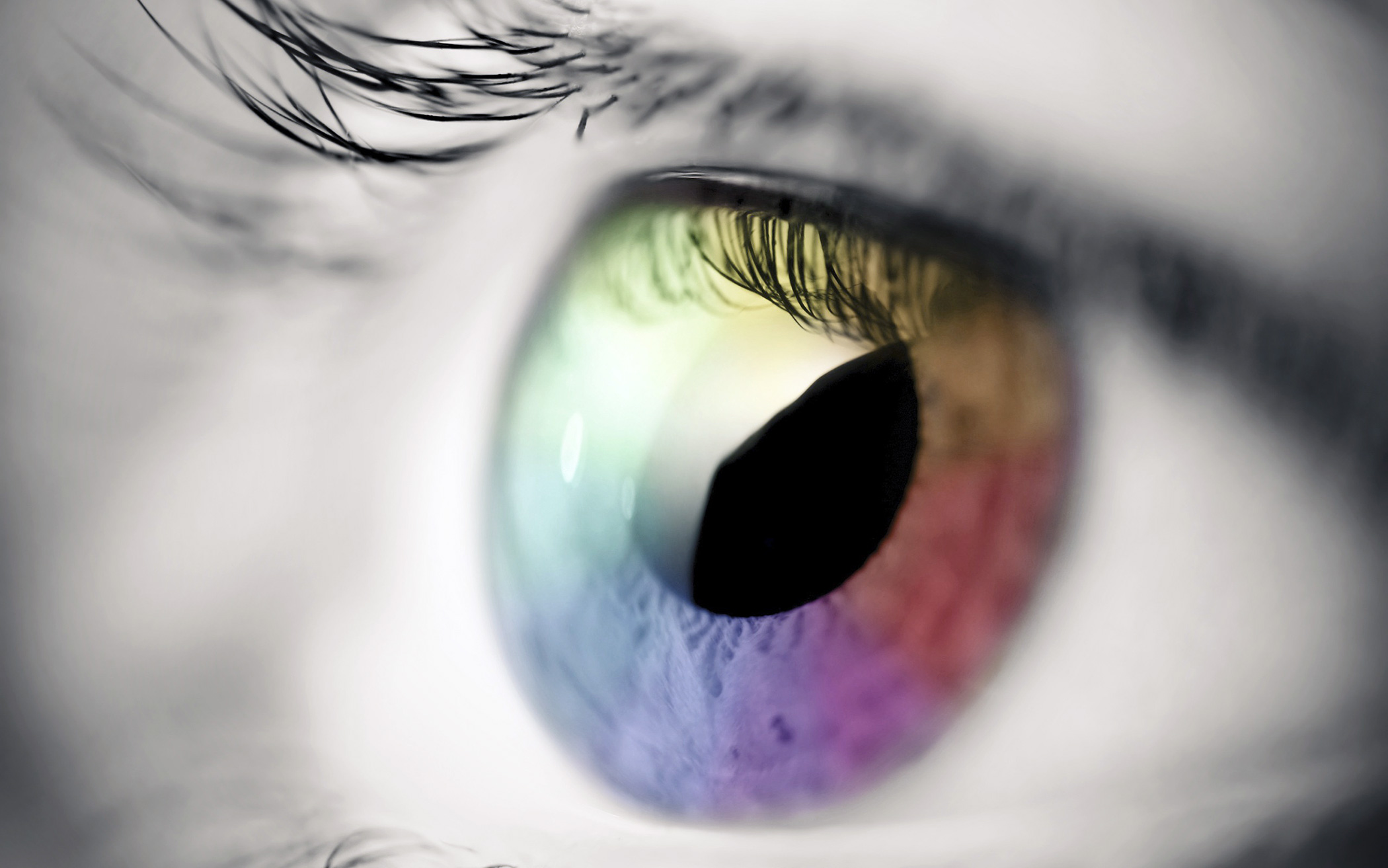 retina ips monitor