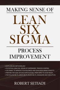 Making Sense of Lean Six Sigma Process Improvement